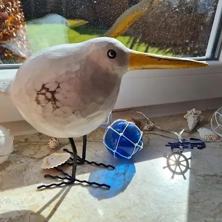 Janssen Comfortable *