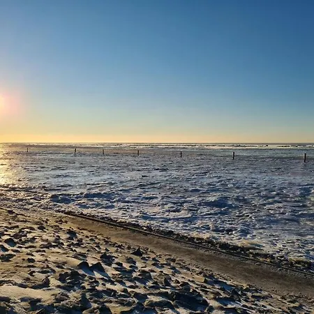 Janssen Comfortable *