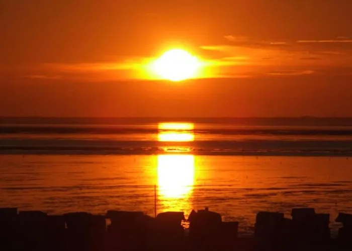 Janssen Comfortable בית נופש *