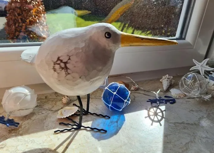 Janssen Comfortable *